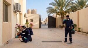 شركة مكافحة حشرات في جدة