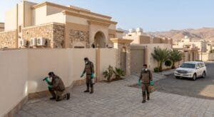 شركة مكافحة حشرات بالطائف