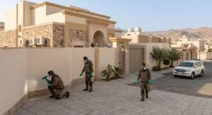 شركة مكافحة حشرات بالطائف